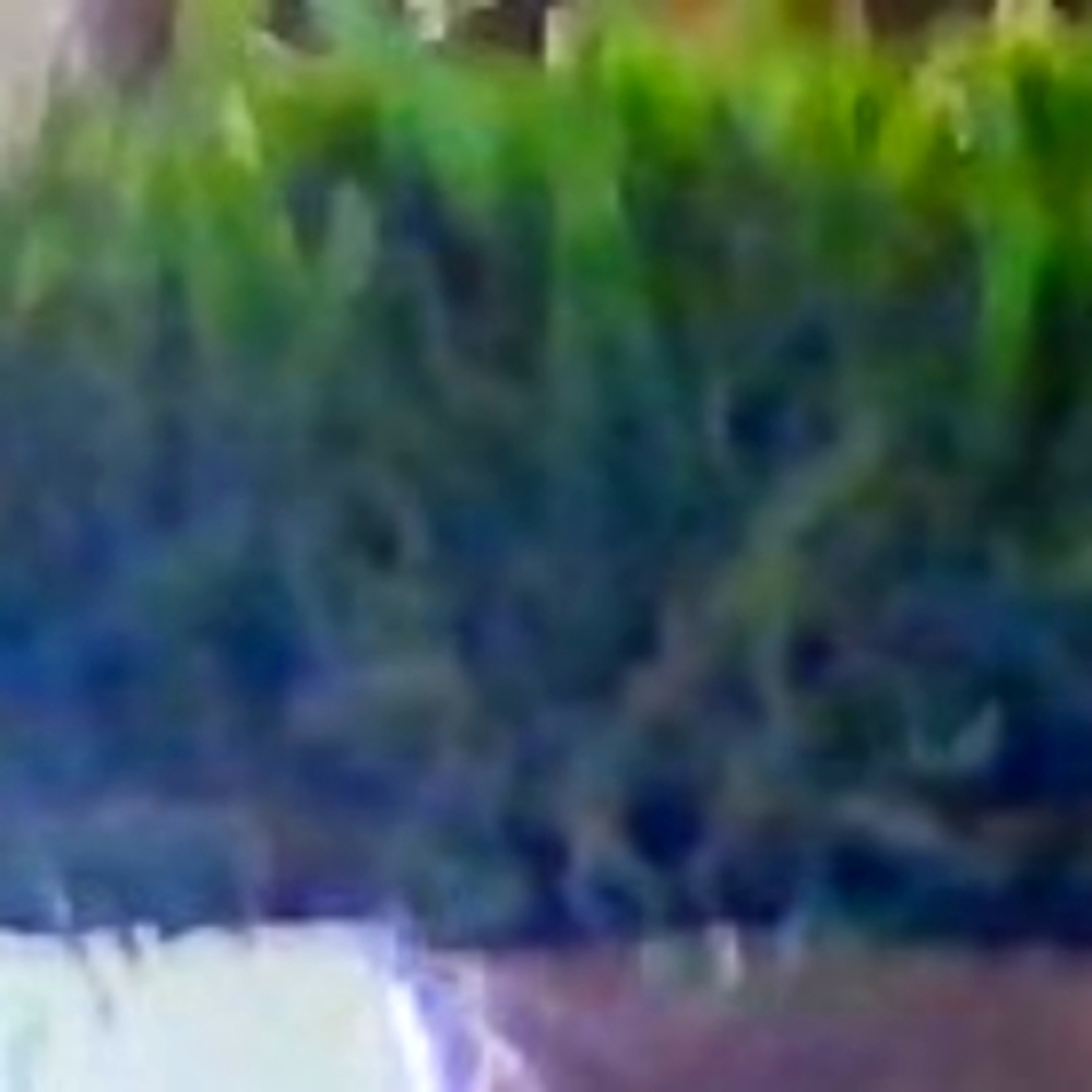( 2 rolls)  Artifical Grass 4 BY 7 60%PE 40% PP 16 lbs